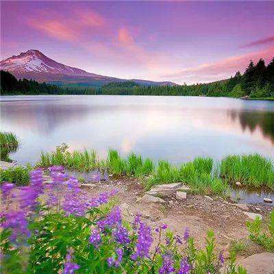 半岛App下载体育